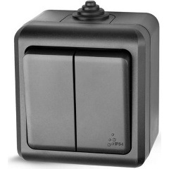 Изображение товара Выключатель TOKOV ELECTRIC 2-кл. ОП Dita IP54 10А 250В карбон, TKL-DT-V2-C14-IP54