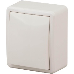 Изображение товара Выключатель одноклавишный ЭРА Эксперт 10AX 250V 11-1201-02 Б0020655