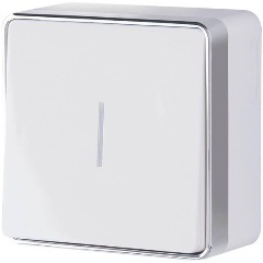 Изображение товара Выключатель одноклавишный с подсветкой Werkel Gallant белый W5010101 4690389163791