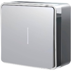 Изображение товара Выключатель одноклавишный с подсветкой Werkel Gallant серебряный W5010106 4690389167072