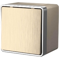 Изображение товара Выключатель Werkel одноклавишный влагозащищенный Gallant шампань рифленый W5010210 4690389164026