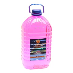 Изображение товара Жидкость стеклоомывающая летняя ЭЛТРАНС жевательная резинка, 5 л, EL-0106.04