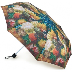 Изображение товара Зонт FULTON L849-3761 FlowersInAVase, мультиколор, женский
