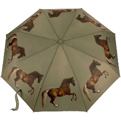 Изображение товара Зонт FULTON L849-4389 StubbsWhistlejacket, женский