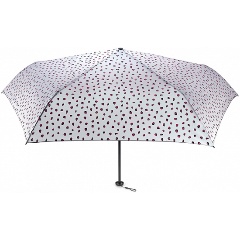 Изображение товара Зонт Fulton L916-4271 Funky Leopard, женский