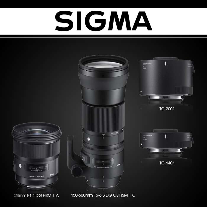Сигма россия. Sigma 150-700 + телеконвертер. Sigma 60-600. Sigma 150-600 + конвертер 1/4. Sigma 60-600 Sport.