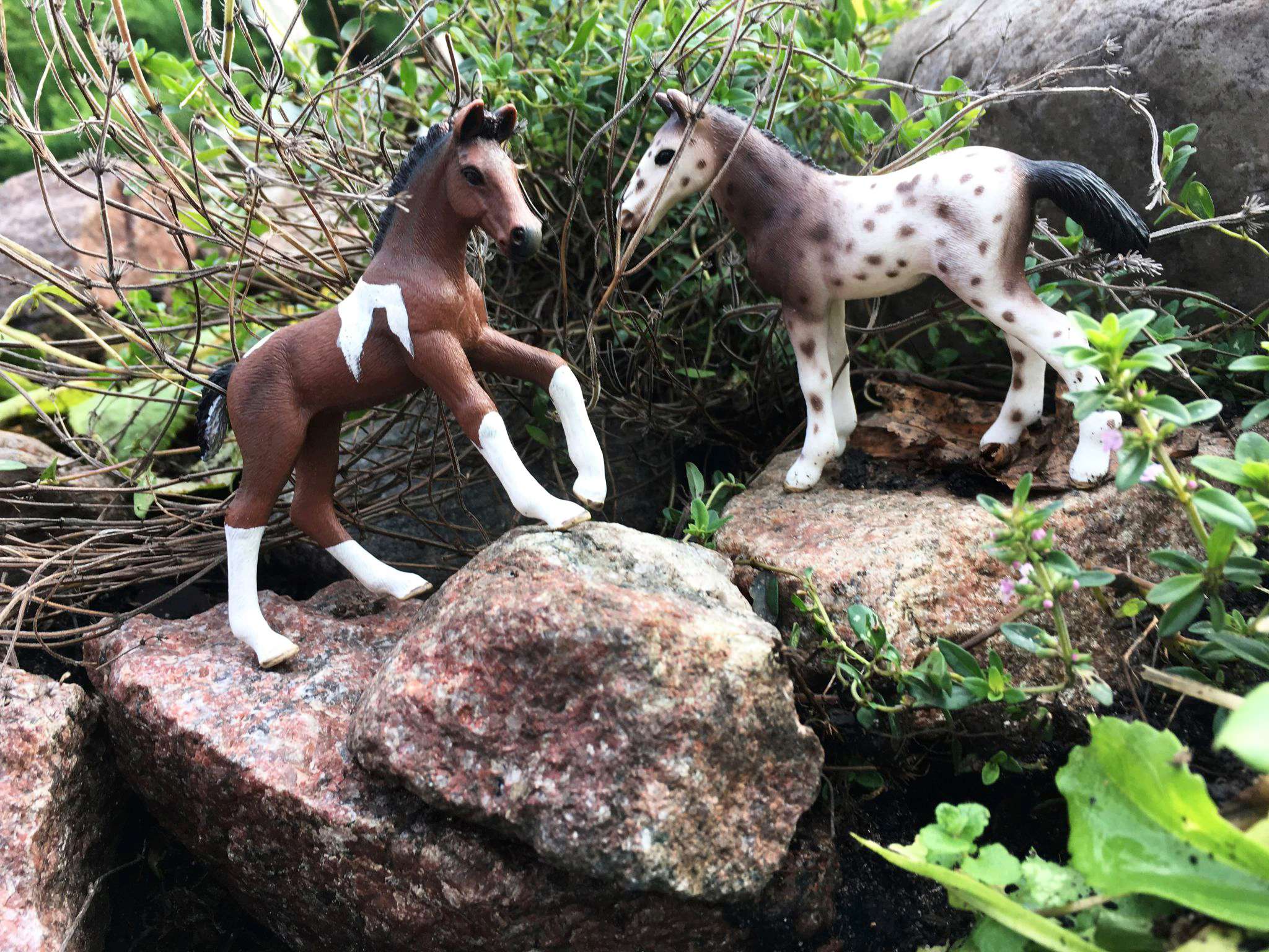Лошади schleich фото на природе красивые