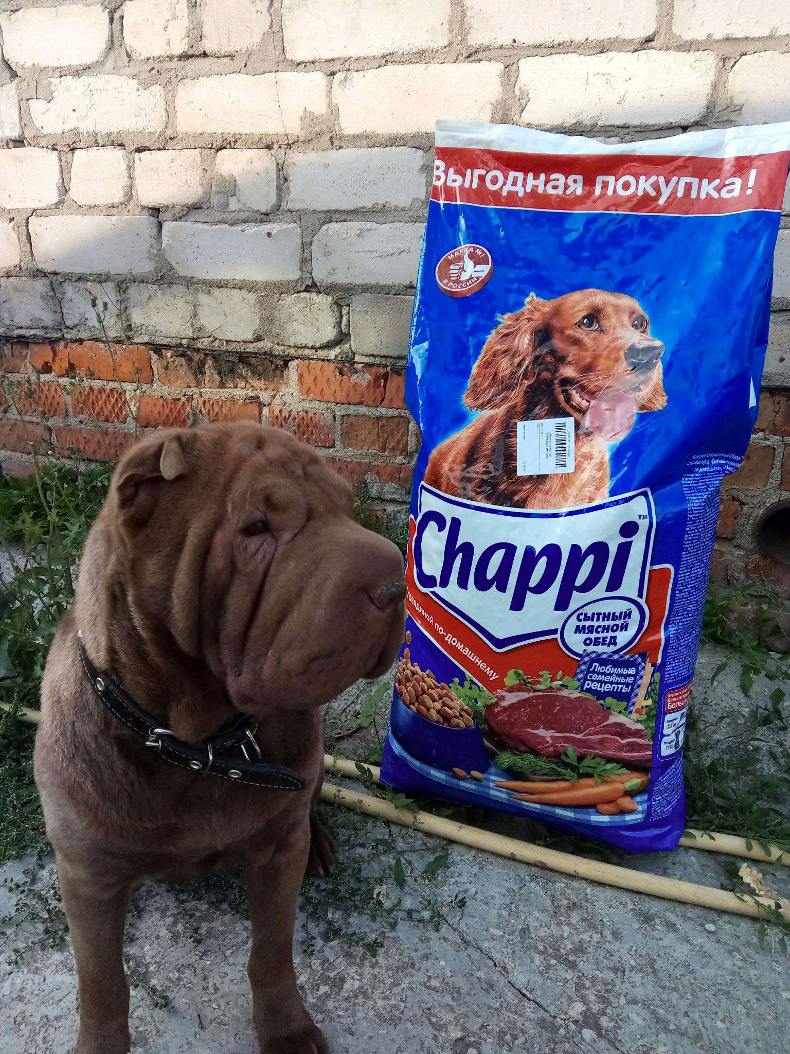 Купить корм сухой для собак Chappi Говядина по домашнему с овощами и  травами 15кг 10016-CH в интернет-магазине ОНЛАЙН ТРЕЙД.РУ