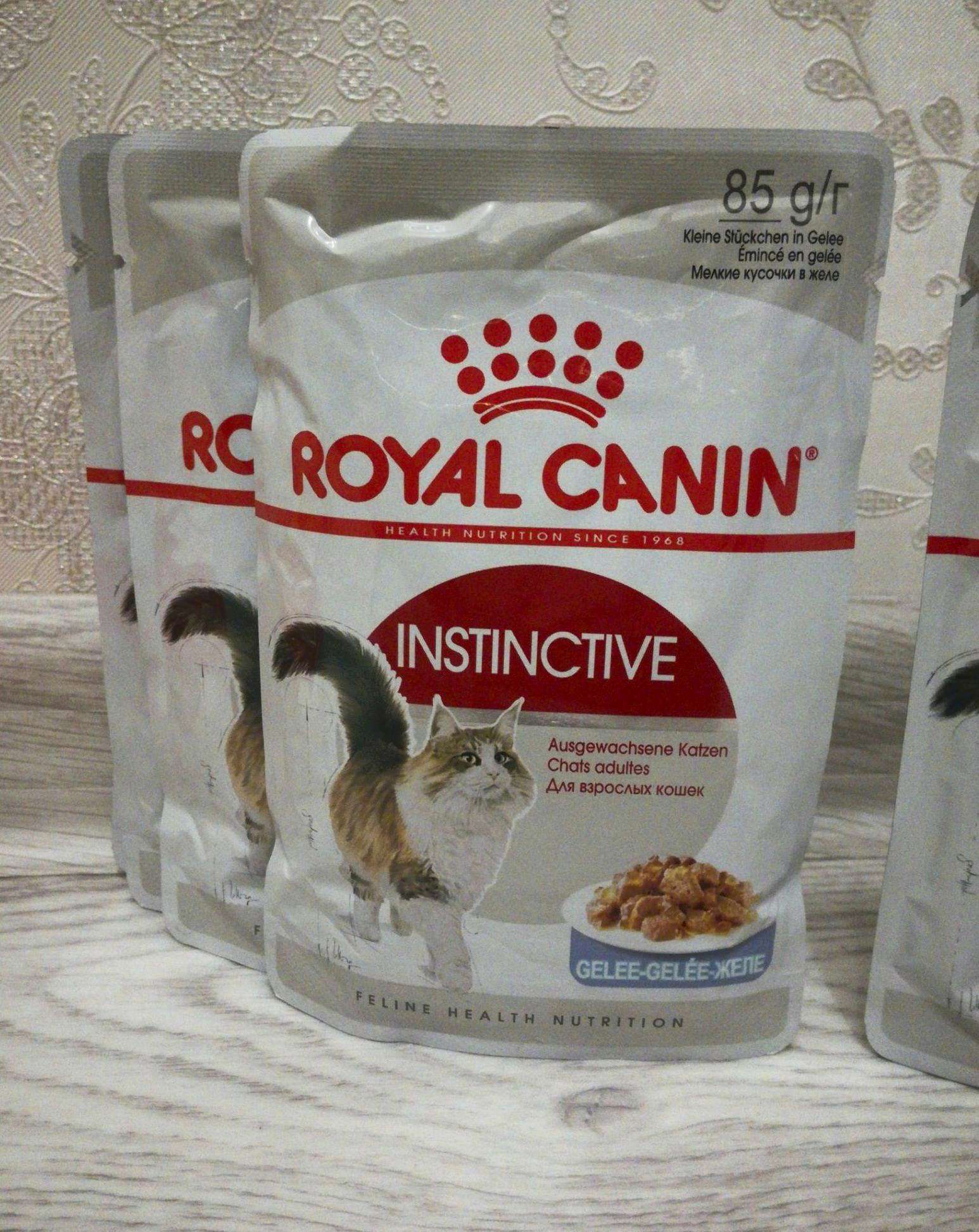 Роял желе. Роял Канин Инстинктив для кошек. Роял Канин Инстинктив для кошек в желе. Паучи Royal Canin Instinctive 85г паштет. Роял Канин кусочки в желе.