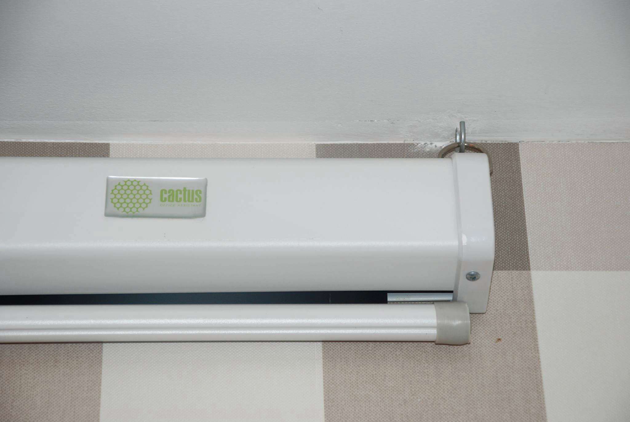 Экран cactus wallscreen cs psw 183x244. Cactus CS-PSW-149x265. Экран для проектора Cactus Wallscreen CS-PSW-183x244. Экран настенно-потолочный Cactus Wallscreen CS-PSW-149x265 белый. Экран Cactus Wallscreen CS-PSW-187x332.