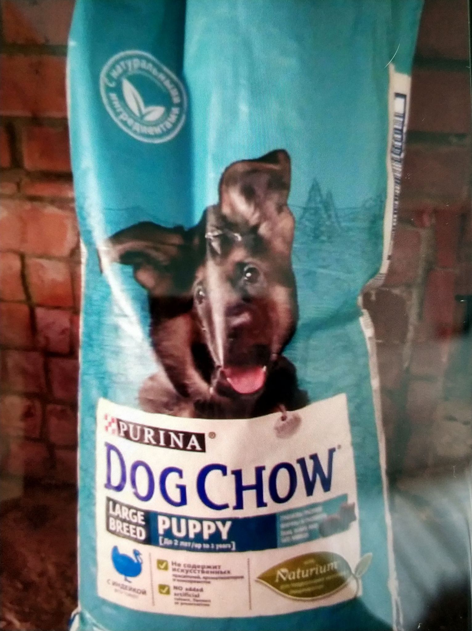 Купить Корм Dog Chow С Лососем