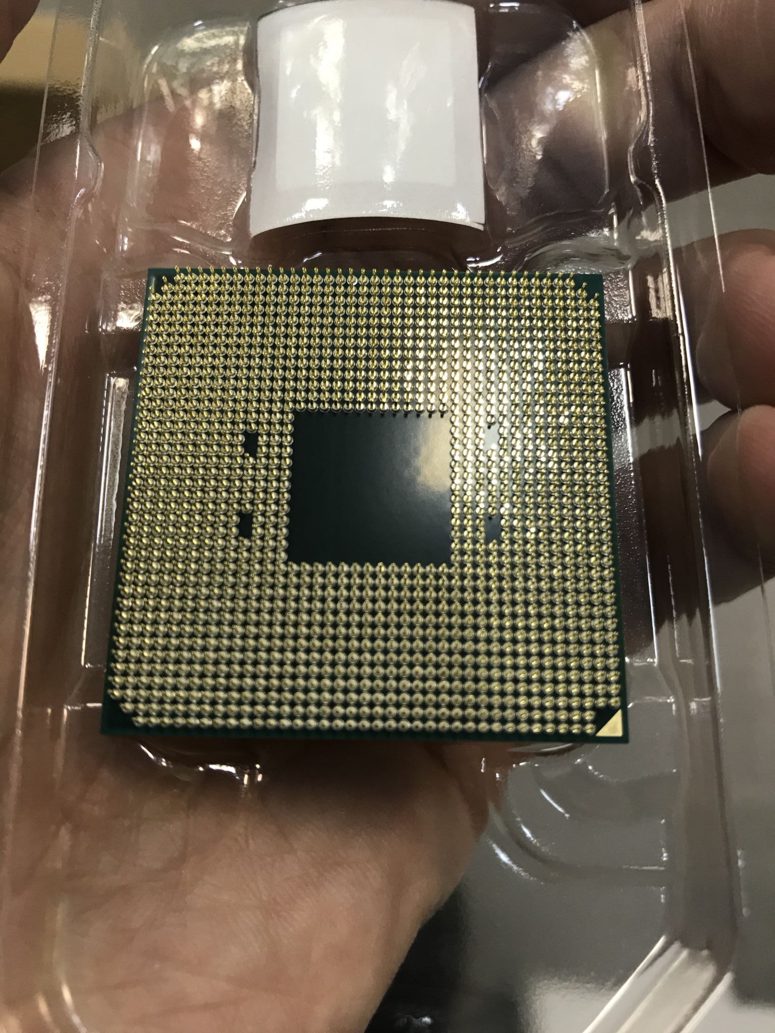 Купить Процессор Ryzen 7 3800x
