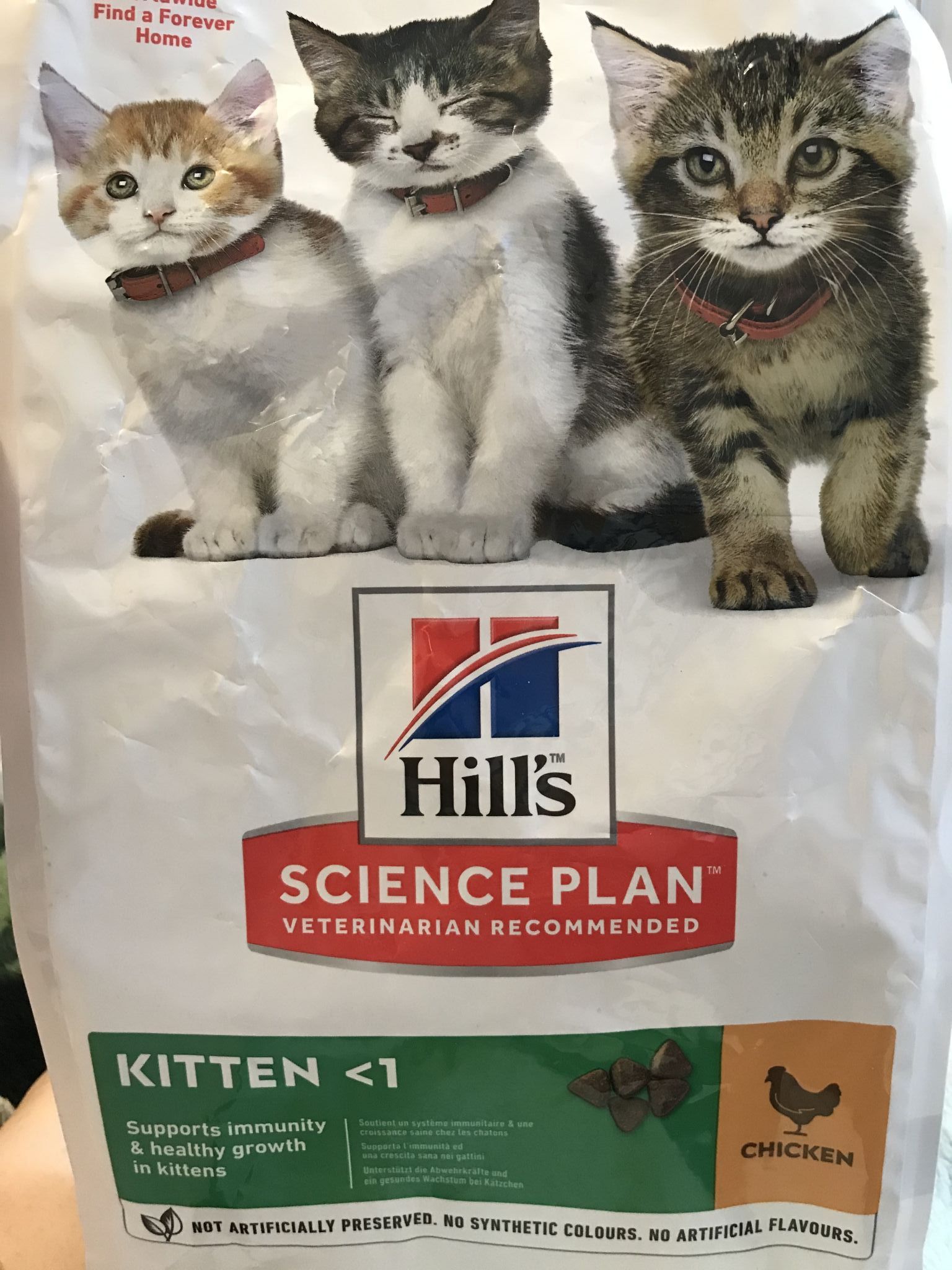 Купить сухой корм hills. Корм Хиллс для котят. Корм Hills Science Plan для котят. Хиллс для котят сухой. Hills корм для котят >1.