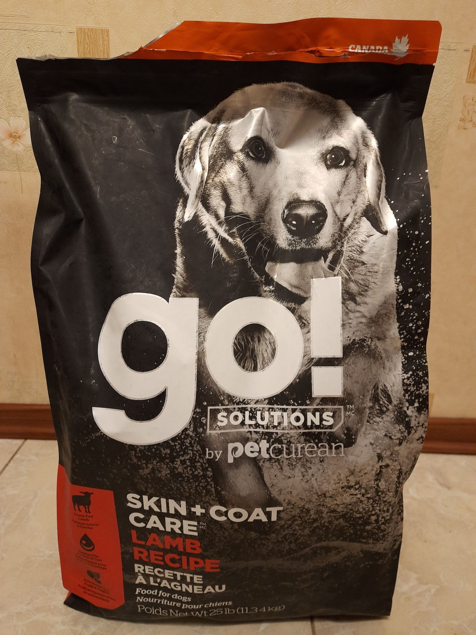 Go lamb sale dog food
