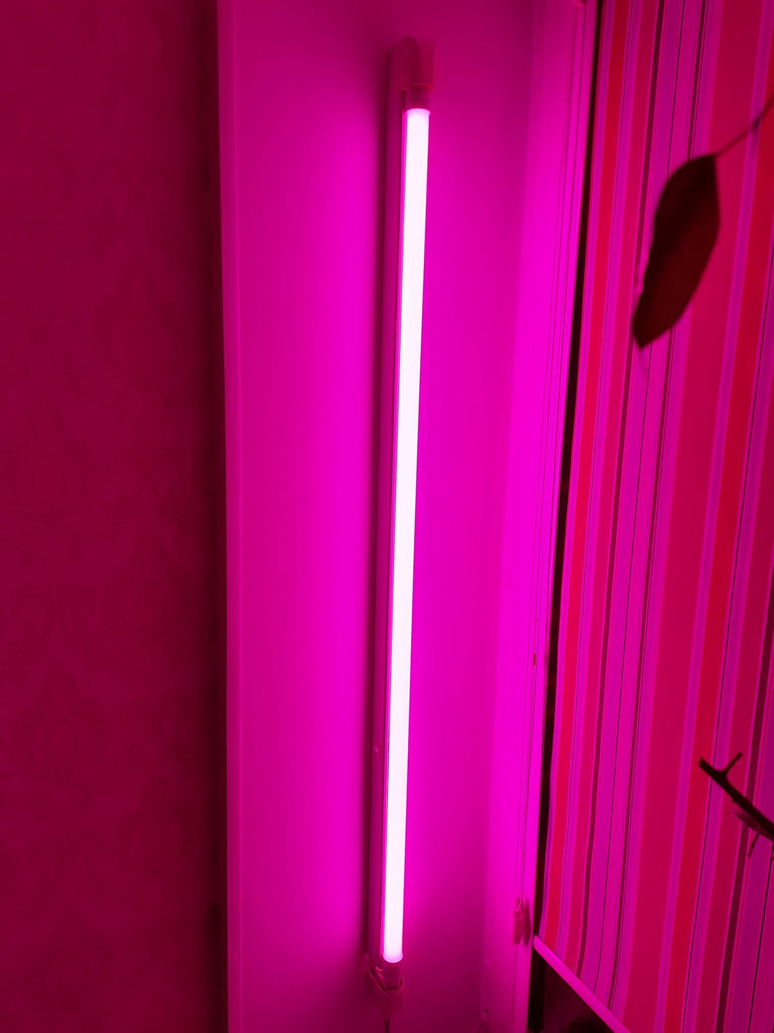 Pink Tube.Com
