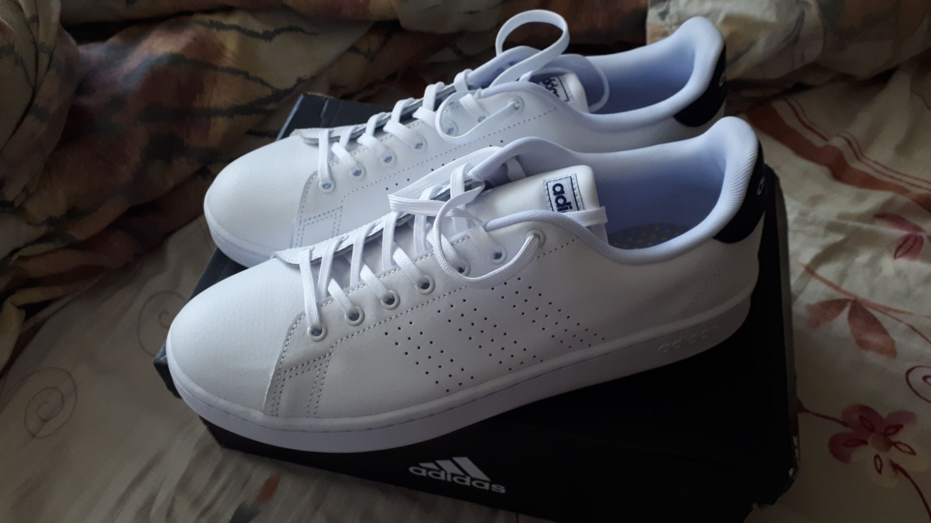 Adidas advantage outlet 44