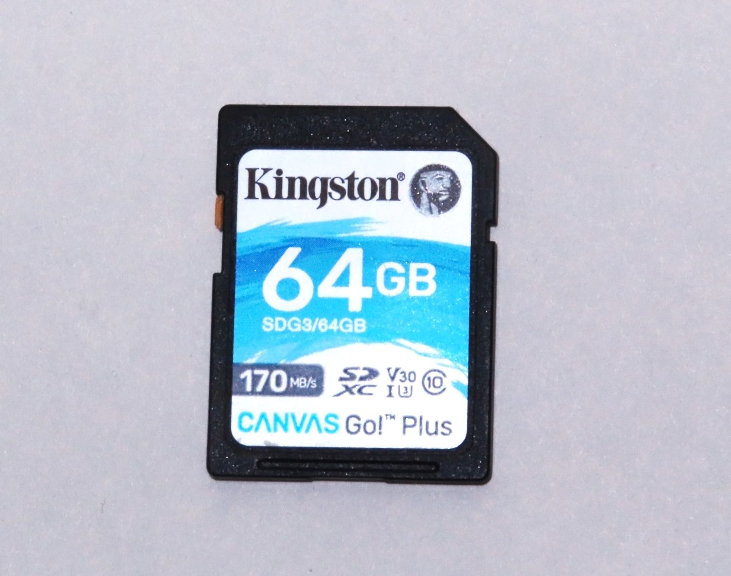 Карта памяти kingston canvas go plus