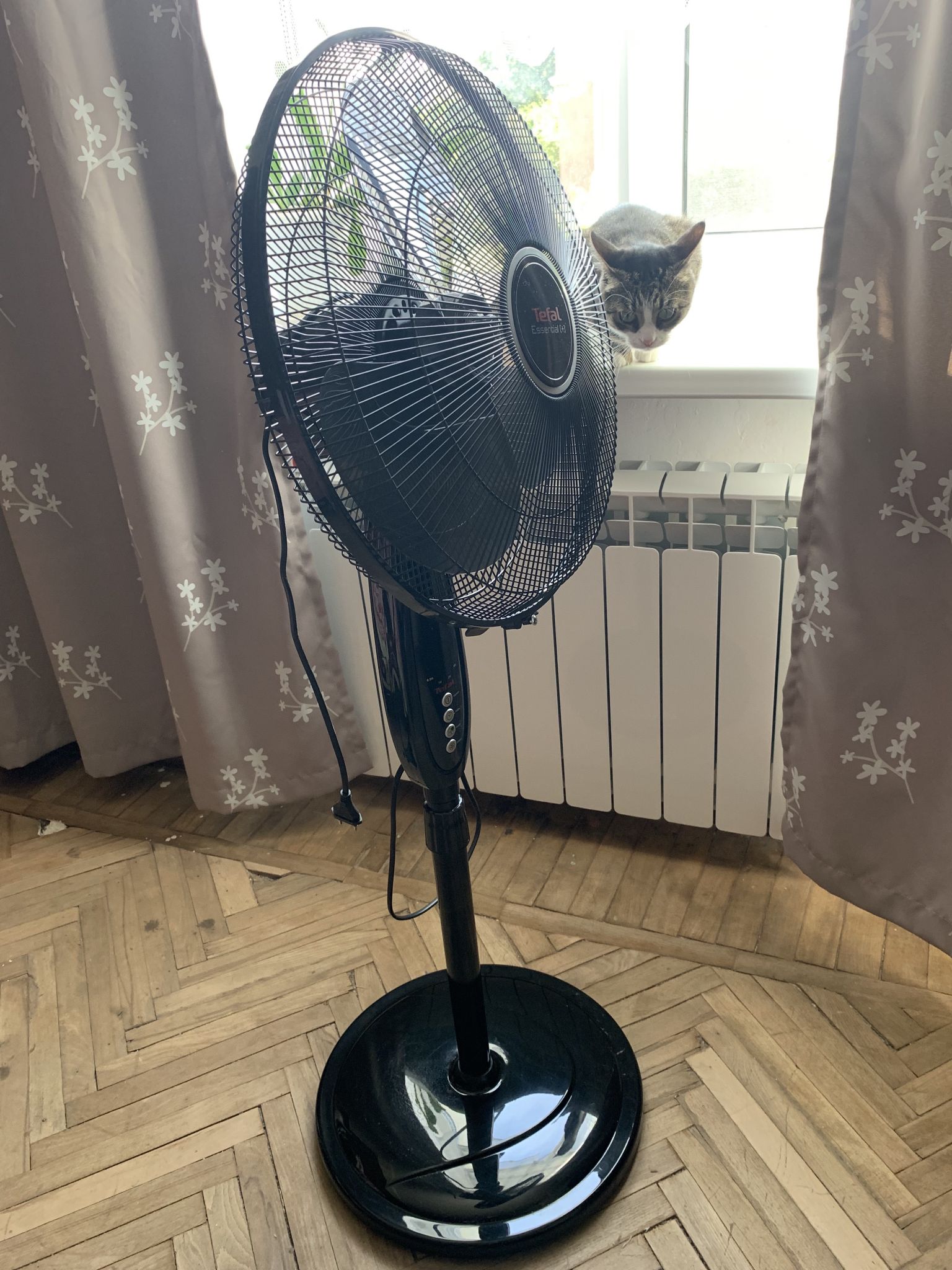 Вентилятор Tefal VF3910F0 напольный — купить по низкой цене в интернет ...