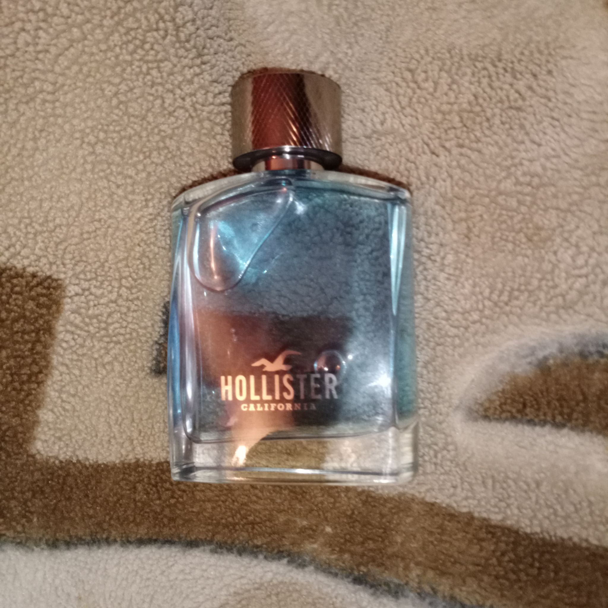 HOLLISTER California 100