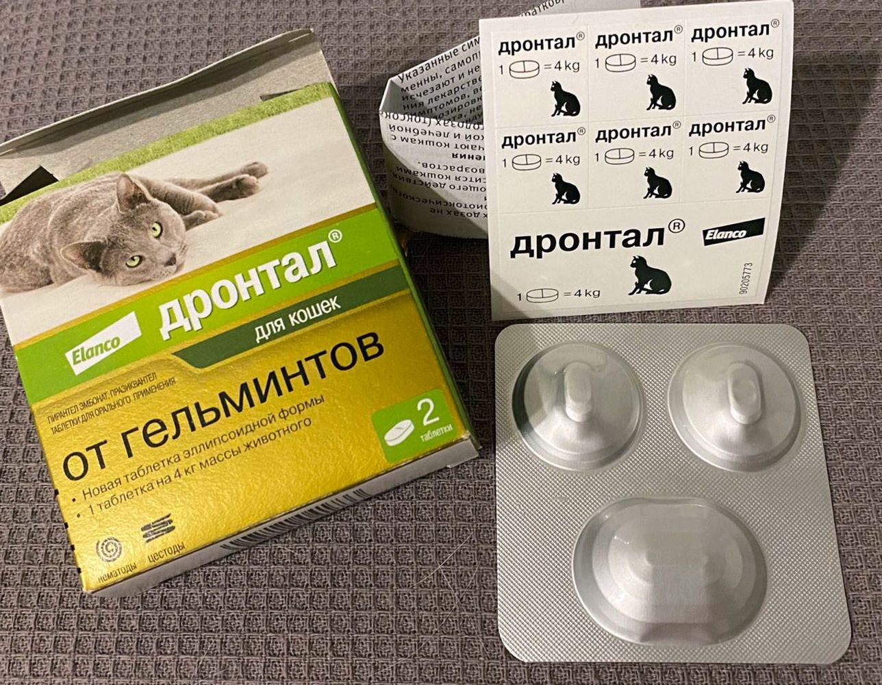Дронтал Для Кошек Купить В Новосибирске