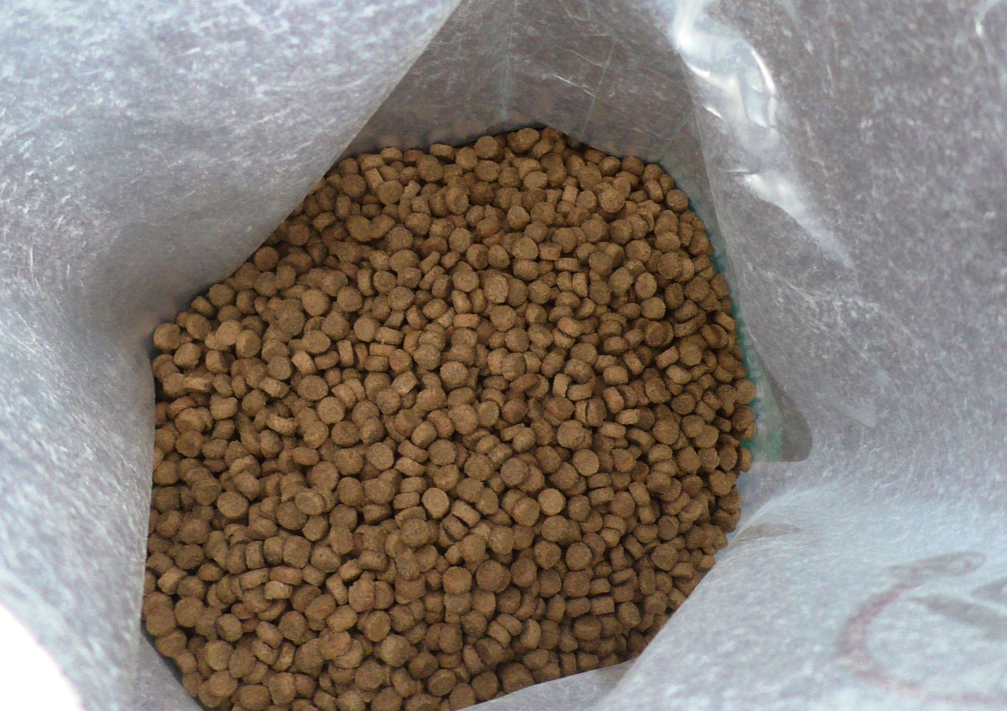 гранулы корма для кошек пробаланс. сухой корм для кошек мелкие гранулы. кошачий корм.